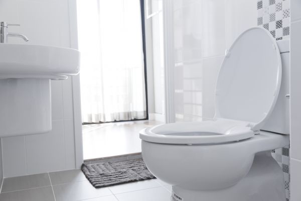 Cost of Toilet Relocation in Greenfield